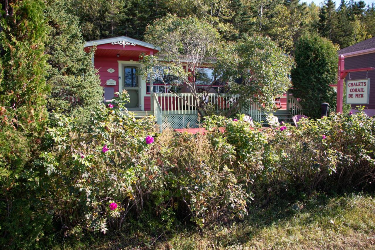 Corail De Mer 4 A 2 Min De La Plage Sainte-Luce-sur-Mer Exterior photo